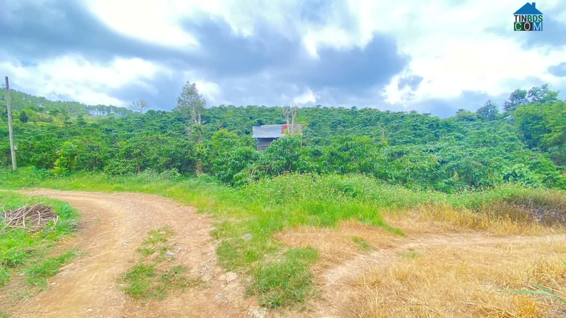 Ảnh Hẻm ql20 - hiệp thuận, ninh gia, lâm đồng - gần trạm dừng chân lê sáng 0