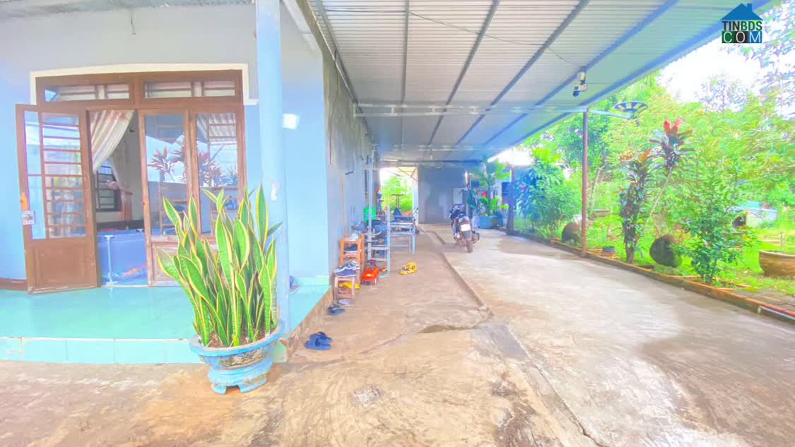 Ảnh Nhà thuộc phú hội cũ - đức trọng / lâm đồng – khu dân cư 0