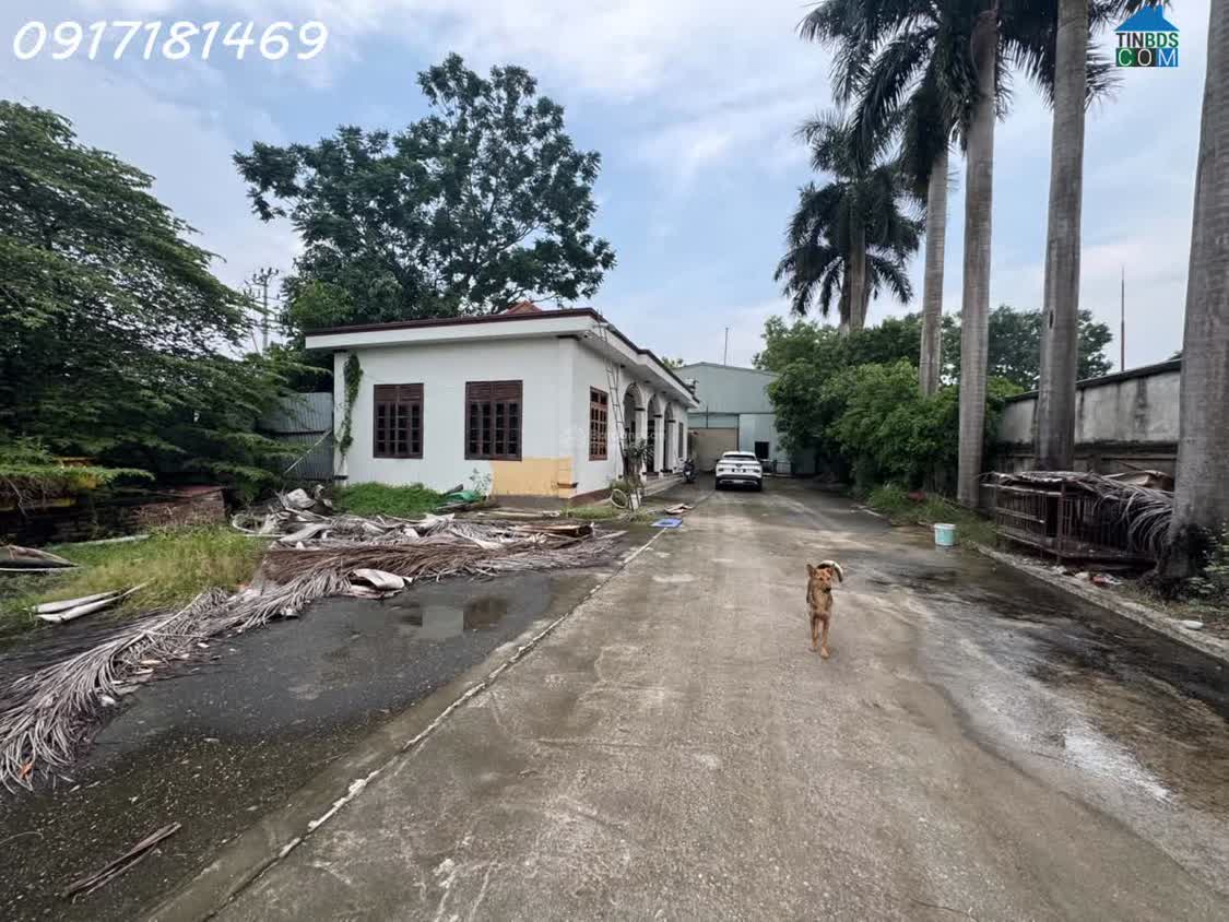 Ảnh Chính Chủ Bán 1.400m Đất + Nhà + Kho, Mặt Đường QL2 Sát KCN Khai Quang, Bình Xuyên (Vĩnh Phúc) 0