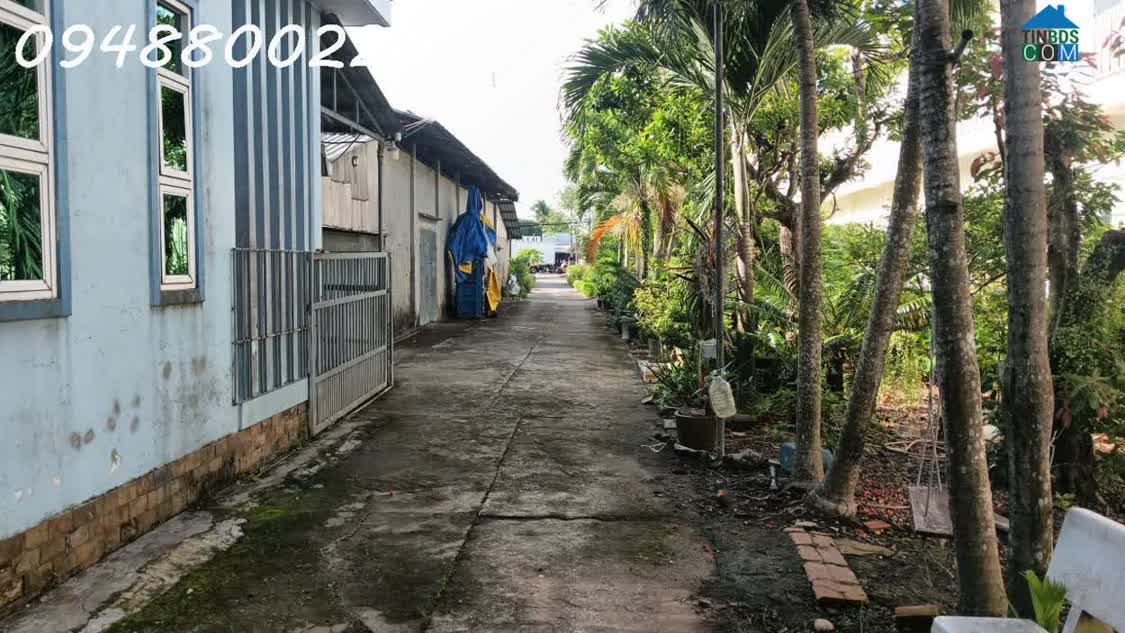 Ảnh Cho thuê kho xưởng tại 56 quốc lộ 63, Thị Trấn Minh Lương, Xã Châu Thành, An Giang. 1