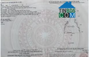Ảnh Hót!Hót! Bán 7971m đất sẵn sổ 2 mặt tiền vành đai 4 và đường nhánh P.Vĩnh Tân (BD), TP.HCM;... 0