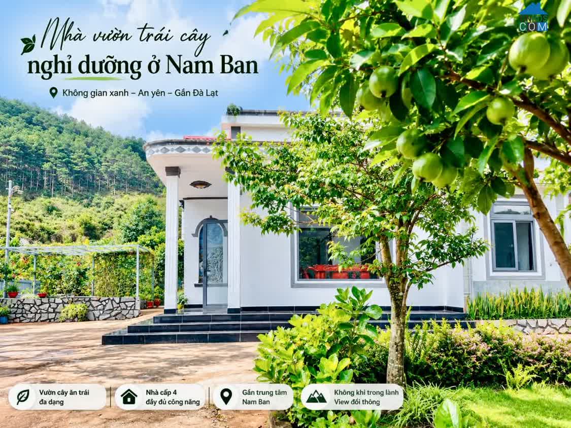 Ảnh Cần Bán Nhà Đất 987m² Có Sẵn Nhà Cấp 4, Giáp Đồi Thông, Giá 4,7 Tỷ 0