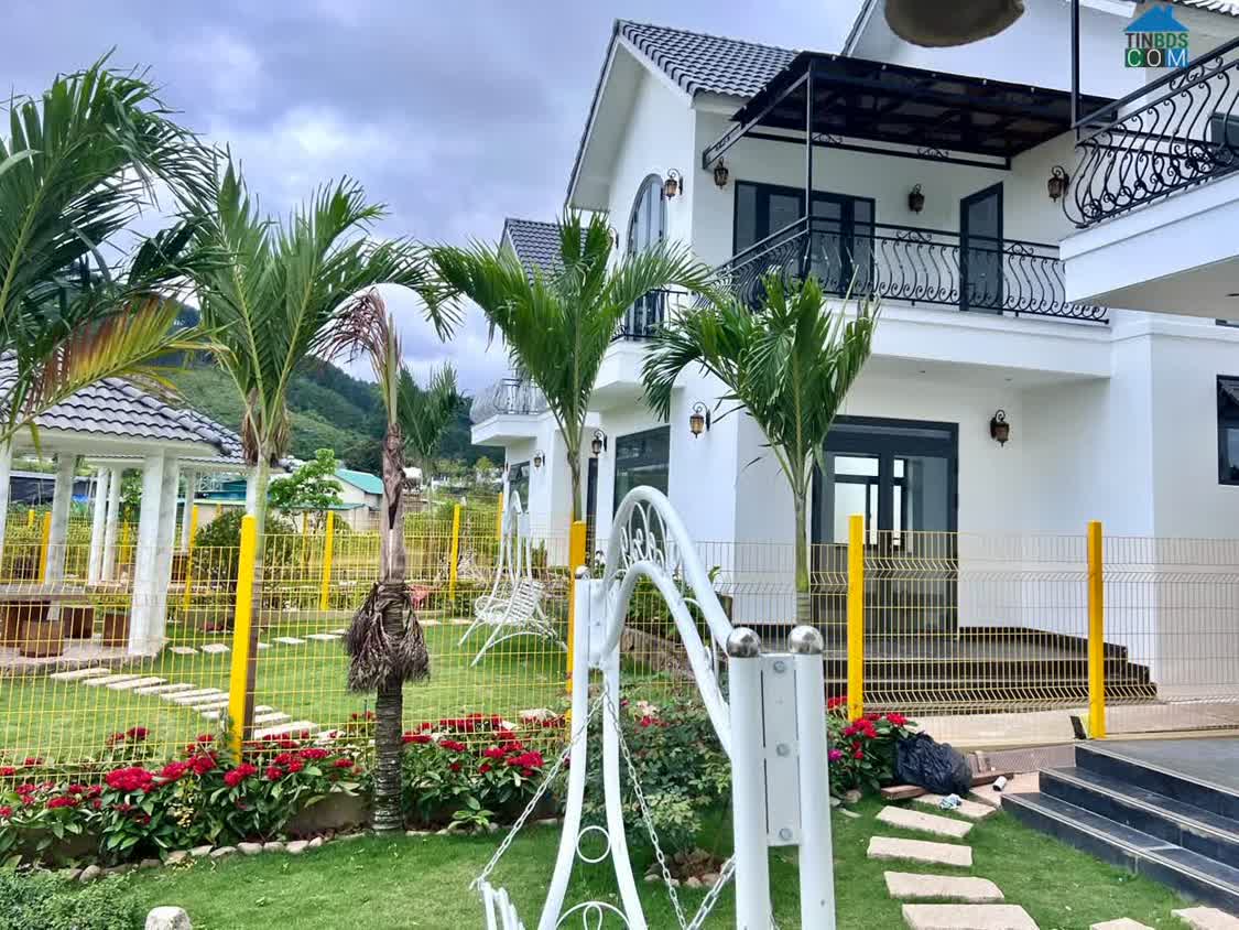 Ảnh Cần Bán Biệt Thự Sân Vườn 416m², 3 Phòng Ngủ, Không Gian Sống Xanh 0