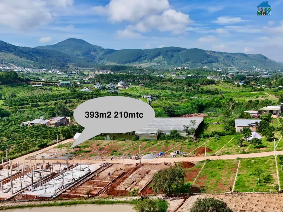 Ảnh Cần Bán Đất 393m², 210m² Đất Ở, 2 Mặt Tiền, Thế Đất Vuông Vức 0