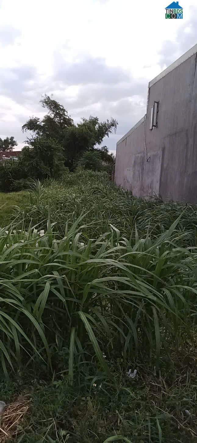 Ảnh Chính chủ cần bán 140m2 tại Thôn Đại Lễ, Phước Hiệp, Tuy Phước, giá đầu tư 0