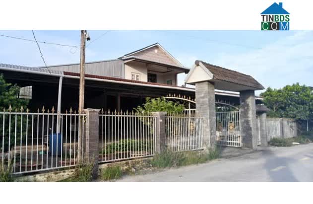 Ảnh Chính chủ bán 2 căn nhà + lô đất liền kề vị trí đẹp tại xã Tân Long (Thanh Bình), Đồng Tháp;... 0
