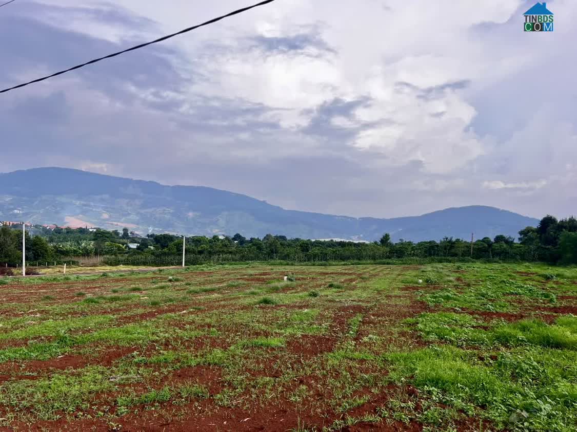 Ảnh Cần Bán Đất Đông Thanh 350m², Mặt Đường Nhựa 8m, View Nam Ban, Đất Bằng Phẳng 0