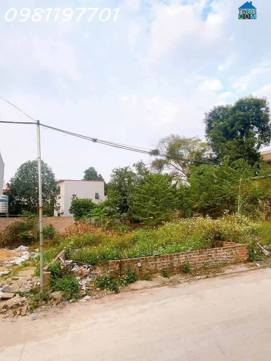 Ảnh Chính chủ cần bán lô đất siêu đẹp Phường Xuân Hòa, Phú Thọ , DT 76m2, giá đầu tư 0