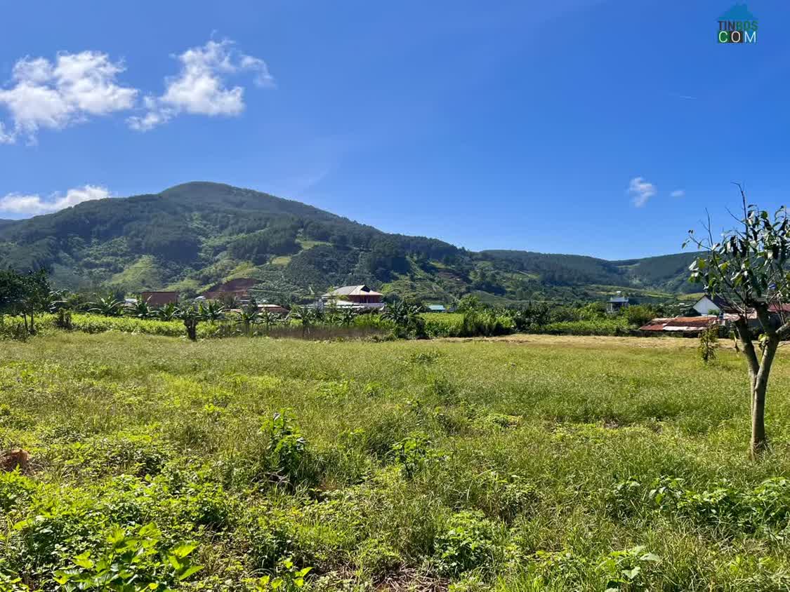 Ảnh Cần Bán Đất Đông Thanh 397m², 200m² Đất Ở, Ô Tô Tận Đất, View Đồi Núi 0