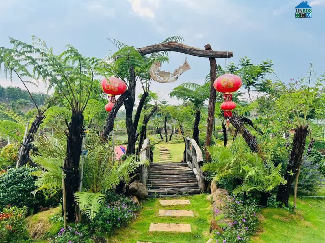 Ảnh Làng OMM Bảo Lộc – đất nghỉ dưỡng tại Phường 2 từ 650 triệu 0