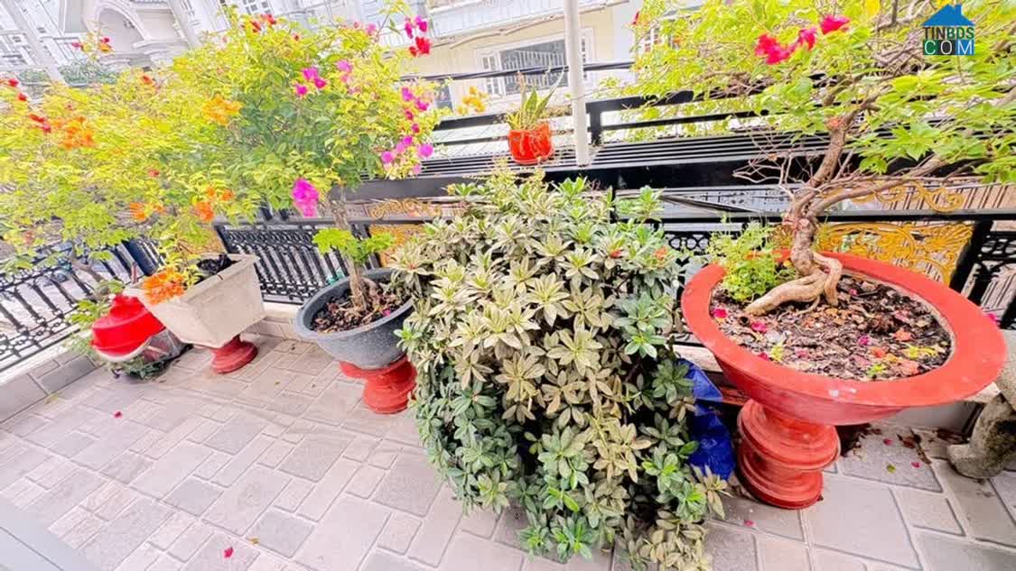 Ảnh Bán Nhà 5 Tầng Trần Thị Năm – Trung Mỹ Tây, Quận 12 0