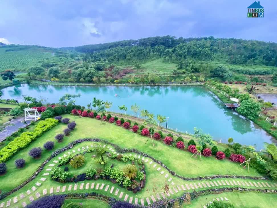 Ảnh Bán Đất Làng Omm Bảo Lộc – 150m², 89m² Thổ Cư – Khuyến Mãi Chỉ Còn 600 Triệu 0