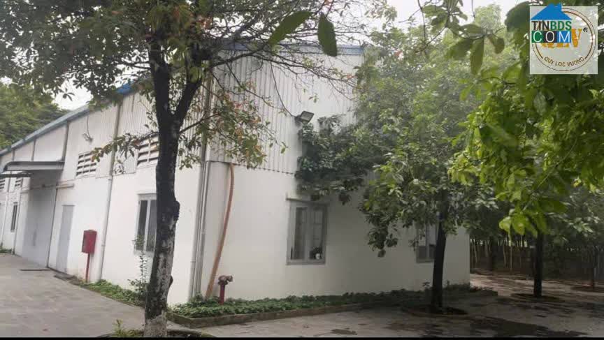 Ảnh Bán, cho thuê nhà xưởng tại Bến Cát, Bình Dương 10.057 m² 0