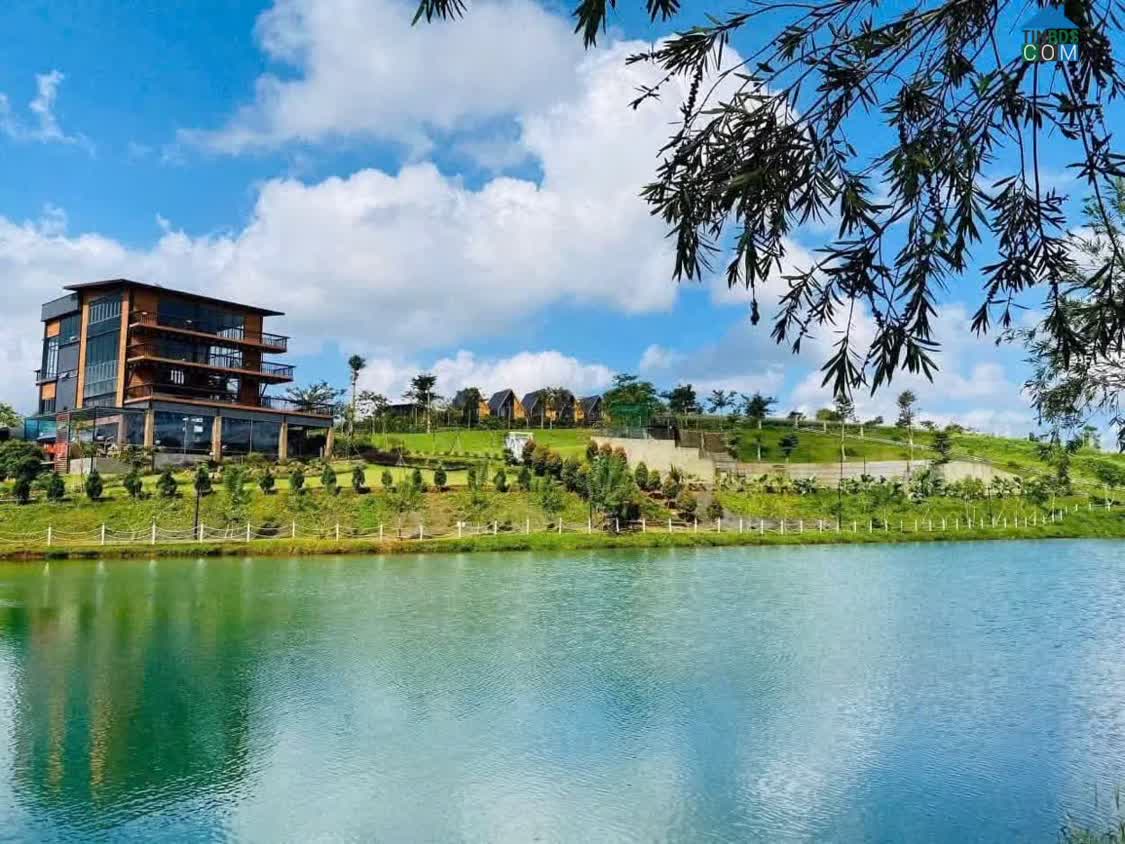 Ảnh 200m² view đồi thông, hồ, suối tại làng omm bảo lộc – lô đất dành cho người yêu thiên nhiên và... 0