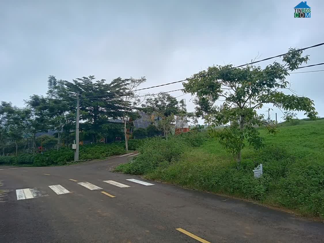 Ảnh Đất nền -Thổ cư - Phường 2 Bảo Lộc 0
