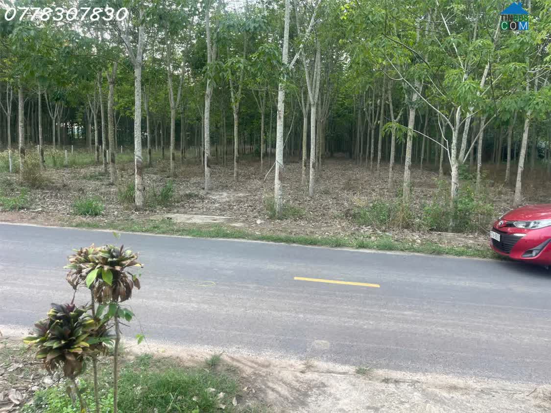 Ảnh Bán đất tại đường Lò Rèn, Long Hòa, 4 tỷ, 880 m2, giá tốt, view đẹp 0