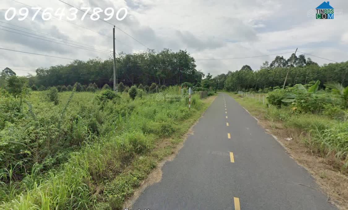 Ảnh Bán đất tại đường Lò Rèn, Long Hòa, 4,5tr/m2, 3500m2, view đẹp, nhiều tiện ích 0