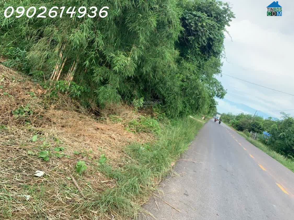 Ảnh Bán đất đường Lò Rèn, Long Hòa, 24tỷ, 8000m2 view đẹp Hot! 0