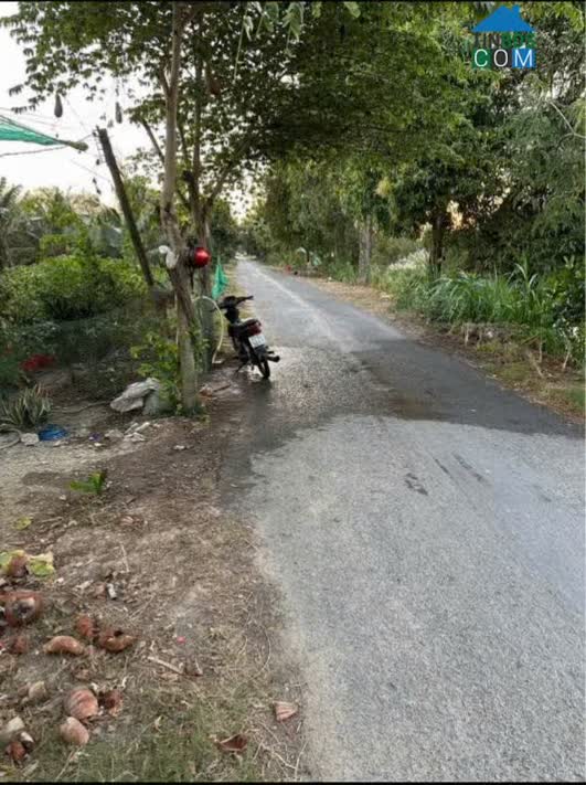 Ảnh Chính Chủ Bán Đất Nền Mặt Tiền Đẹp - Ô Long Vỹ - Châu Phú - An Giang 0
