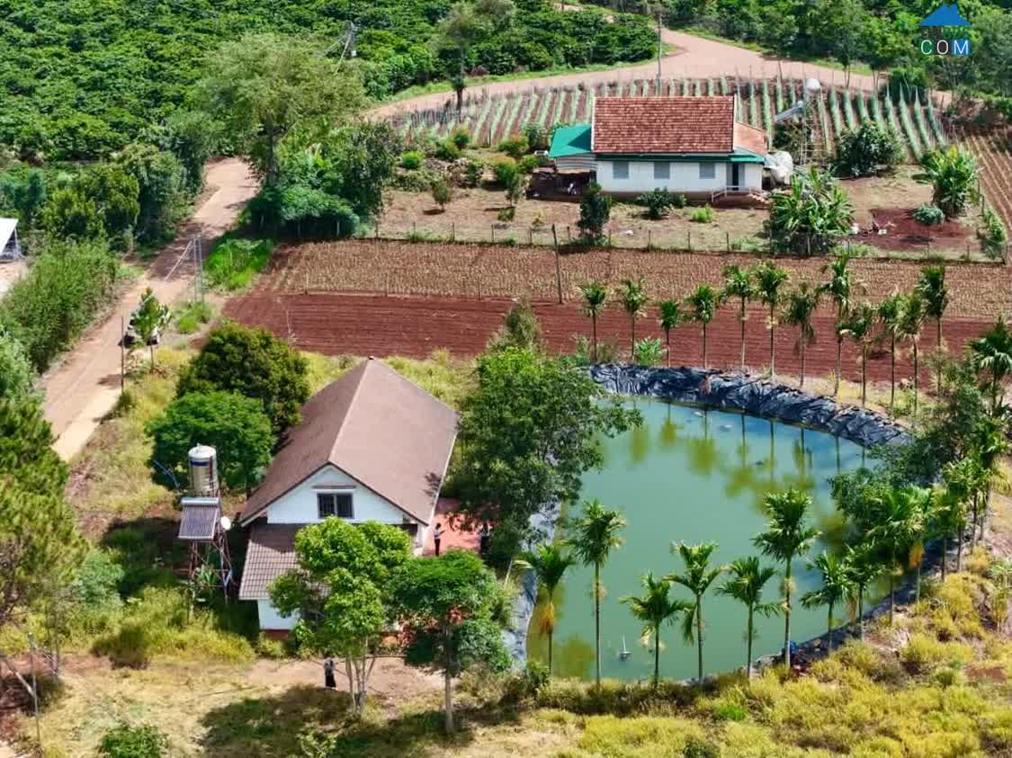 Ảnh Cần Bán Đất Nam Hà 2.298m², 350m² Thổ Cư, Tặng Nhà, View Toàn Cảnh 0