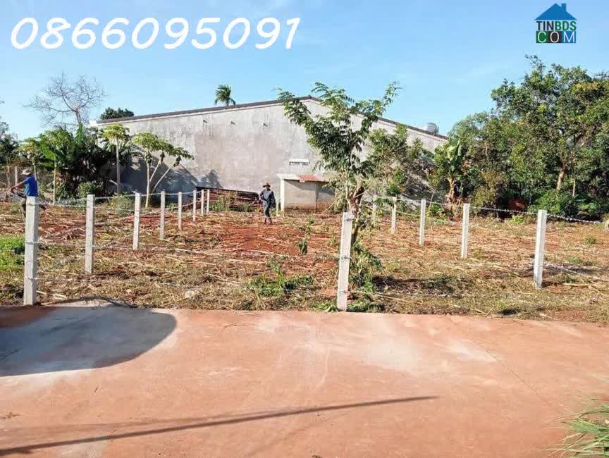Ảnh Bán đất tại đường Lò Rèn, Long Hòa, 915m2, giá tốt chỉ 6tr/m2, view đẹp 0