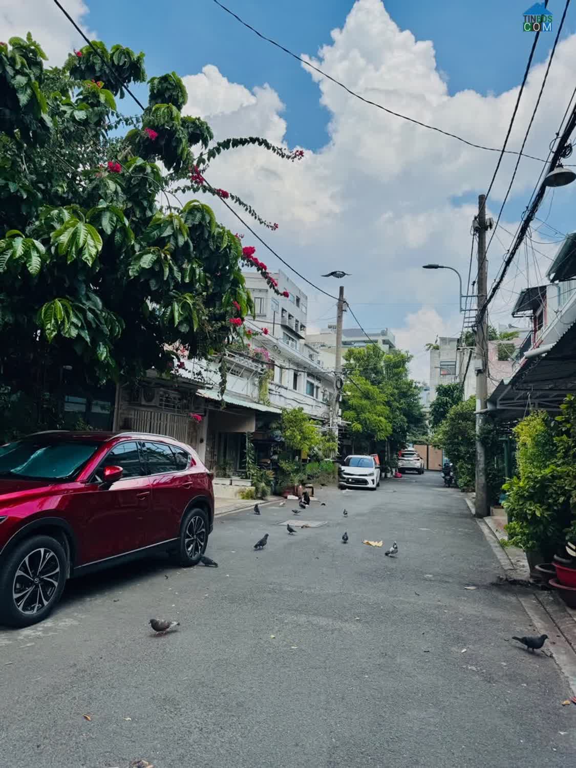 Ảnh Nhà riêng 60m² tại Phường Đức Nhuận, Hồ Chí Minh giá 4,9 tỷ đồng 0