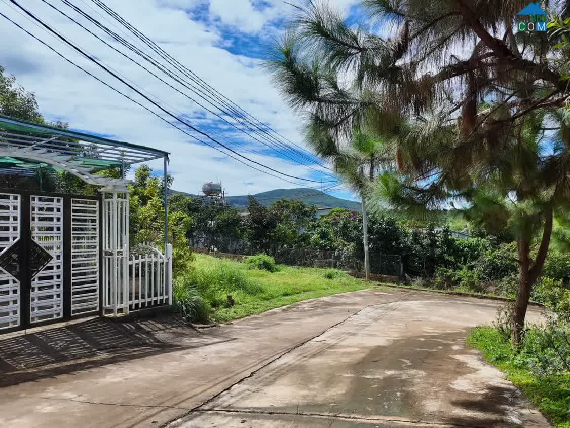 Ảnh Cần Bán Đất 2 Mặt Tiền 236m² Trong Khu Nghỉ Dưỡng, Bao Quanh Bởi Thông Xanh 0