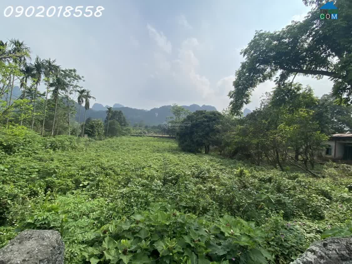 Ảnh 5.000m² Đất 2 Mặt Tiền – Gần Hà Nội, Tiềm Năng Khai Thác Đa Dạng 0