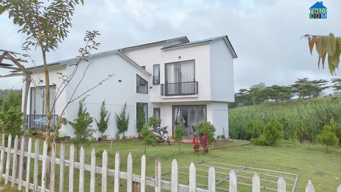 Ảnh Đất - Biệt thự View hồ Làng omm - Bảo Lộc 0