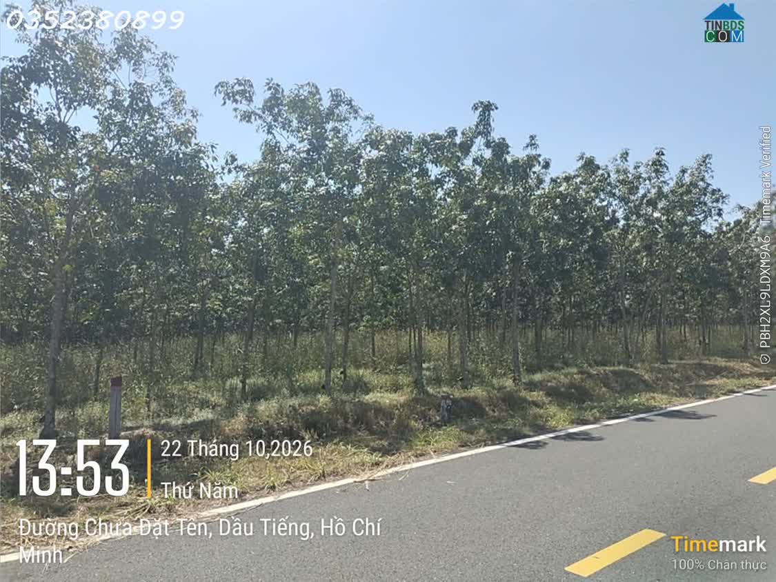 Ảnh Hàng hiếm tại Ấp Núi Cậu, ĐT 744, Dầu Tiếng, DT 262 m2, giá 2,7 tỷ 0