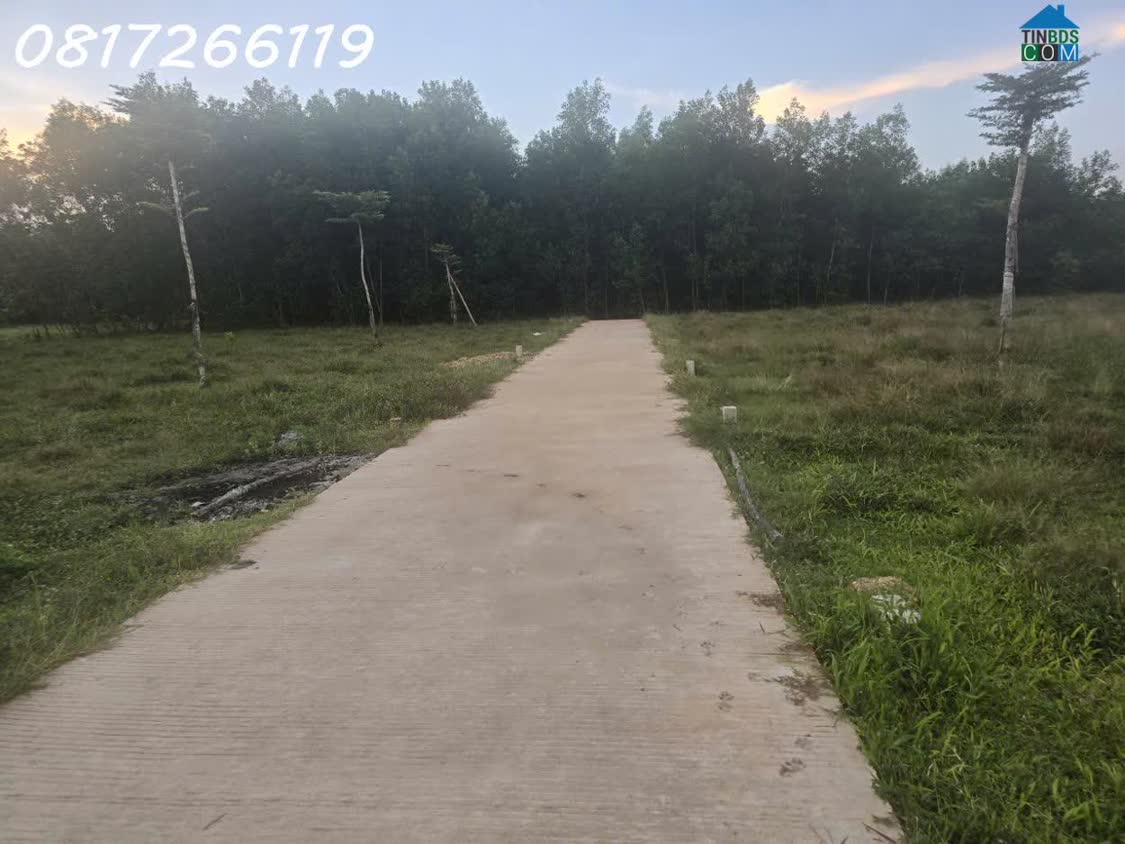 Ảnh Cần bán nhanh lô đất đẹp xã Thọ Phong, Tỉnh Quảng Ngãi, 123,9m2, 1,080 tỉ 0