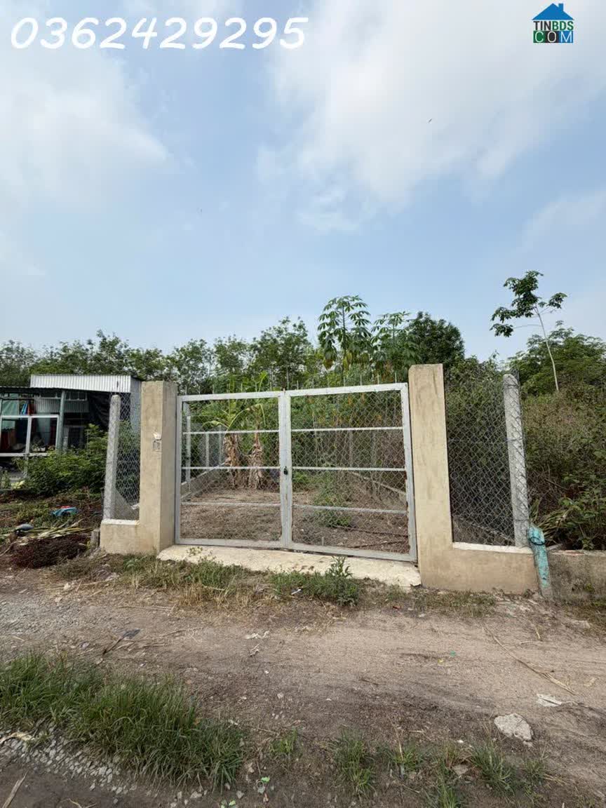 Ảnh Bán đất 217.7m2 có thổ cư xã Thanh Tuyền, huyện Dầu Tiếng, Bình Dương chỉ với giá siêu hời 1,2 tỷ 0