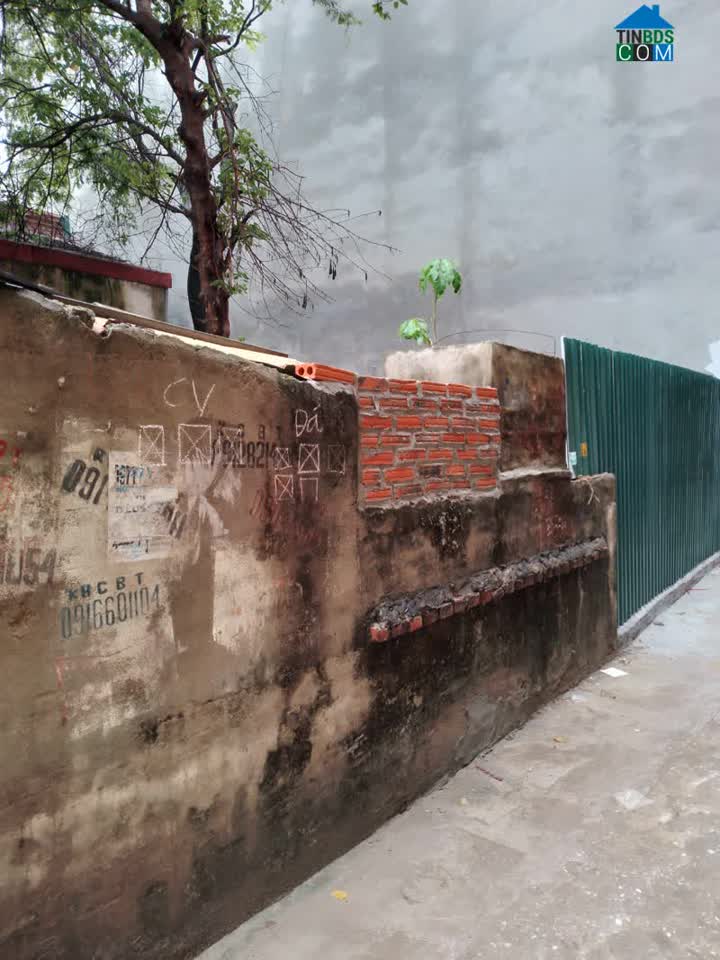 Ảnh Chính chủ bán Nhà Đất cấp 4 phố Nguyễn Hữu Thọ, Linh Đàm, quận Hoàng Mai, Hà Nội, Dt 42 m2, giá... 0