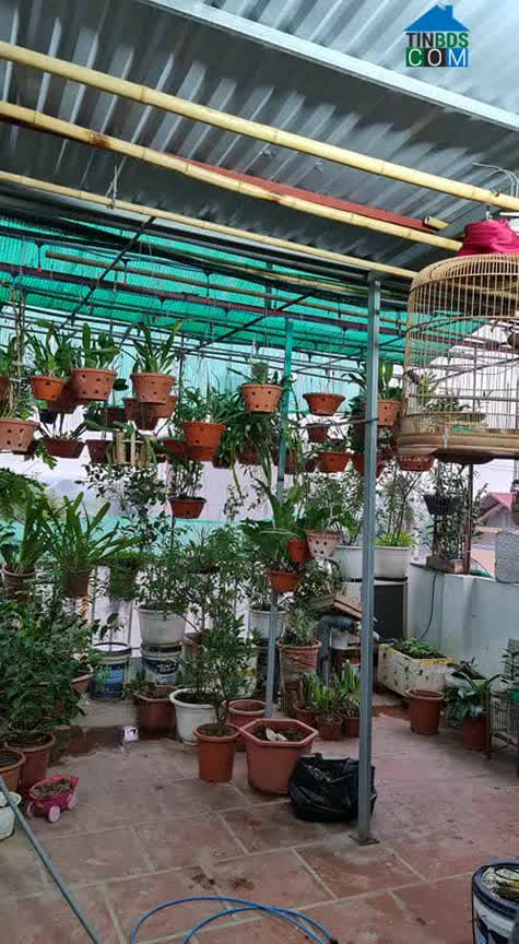 Ảnh Bán nhà đẹp Phố Lương Thế Vinh 55m2 MT5m giá 4.5tỷ 0