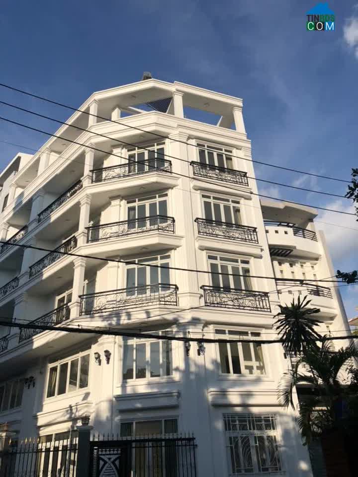 Ảnh Sang nhượng gấp tòa nhà Vị trí chiến lược trung tâm Phường 2, Tân Bình 350m2 giá 69,999 tỷ 0