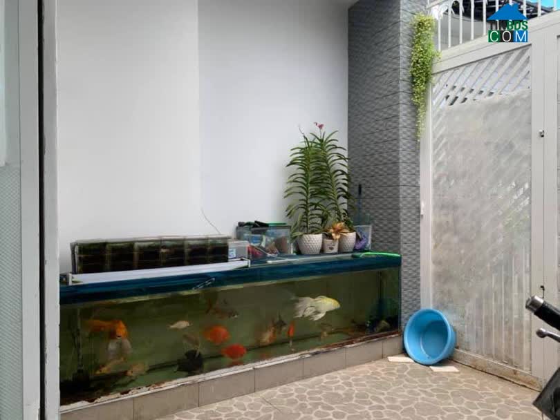 Ảnh (HOT) Chỉ hơn 70tr/m2, 6 x 18, giá đầu tư, nhà HXH 5m thông 3 tầng BTCT 0