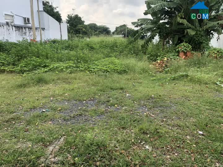 Ảnh Đất 2 Mặt Tiền Song Hành, Xã Tân Hiệp, Huyện Hóc Môn,486m2 Chỉ 18 Tỷ 0