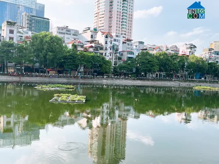 Ảnh Mặt phố Đặng Tiến Đông - Mai Anh Tuấn - View Hồ Hoàng Cầu - 55m2 - MT 5m - 11,5 tỷ - An sinh đỉnh. 0