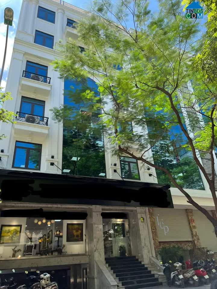 Ảnh Cần bán nhà mặt phố Giảng Võ, 100m2, MT 7,5m, giá 40 tỷ, kinh doanh đẳng cấp. 0