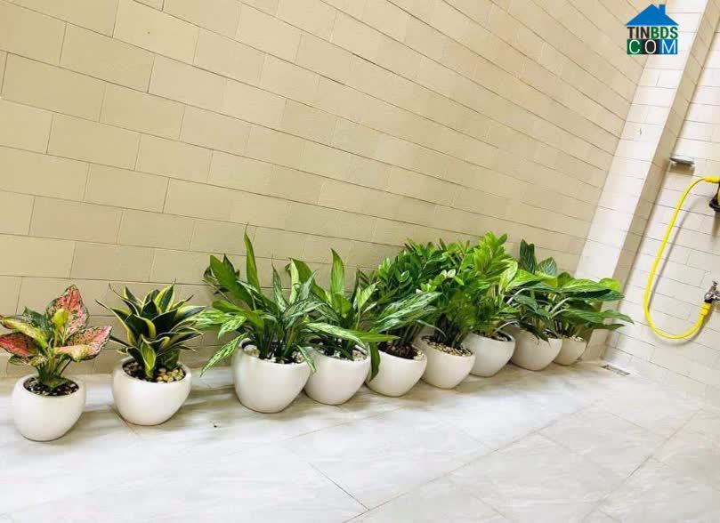 Ảnh Chính Chủ Ngộp Bank Bán Gấp Nhà 2 Tầng Kha Vạn Cân- 42M2 Giá 2,750 2