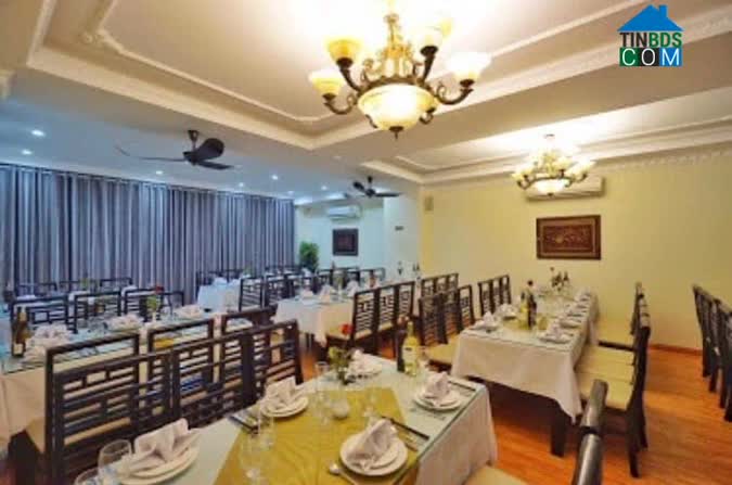 Ảnh Bán Nhà Mặt Phố Nguyễn Khuyến, Vị Trí Đẹp KD Đỉnh, 195m2, 4 Tầng, MT 6,5m, Nhỉnh 55 Tỷ. 0