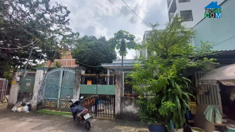 Ảnh Bình Tân, Đs4, HXT 8M Tránh Thông, Ngay Lê Văn Quới, Gần Bốn Xã, Ngang Khủng 9m, Sổ Vuông A4,... 0