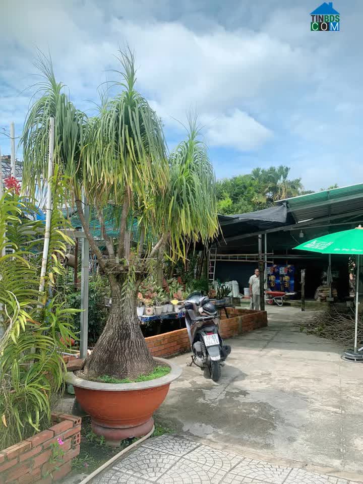 Ảnh Ôtô Vô Nhà Lê Văn Khương 450M2 Bán Tháo Chỉ 22 Triệu M2 0