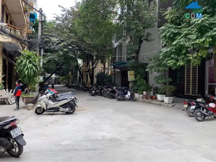 Ảnh Bán Nhà Phạm Ngọc Thạch 50M 5ty-Ngõ Thoáng Dân Trí Cao-30m Ra Ô Tô Tránh 0