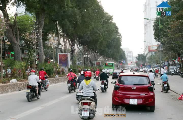 Ảnh Hàng Hiếm - Mặt Phố Víp Nhất Đống Đa - Hàng Xóm Hoàn Kiếm - Lô Góc - Kinh Doanh Vô Địch - Bất... 0