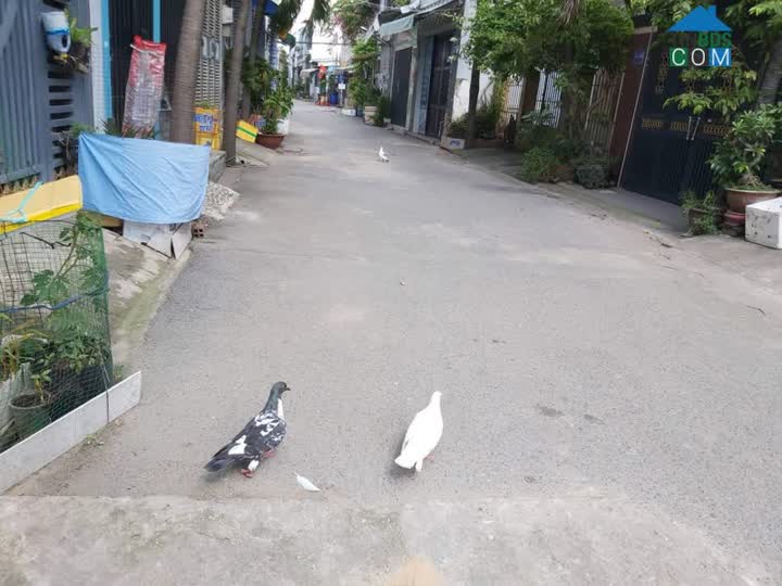 Ảnh Trung Mỹ Tây Quận 12 - Đường Nhựa 8M - 4.5 Tỷ 0