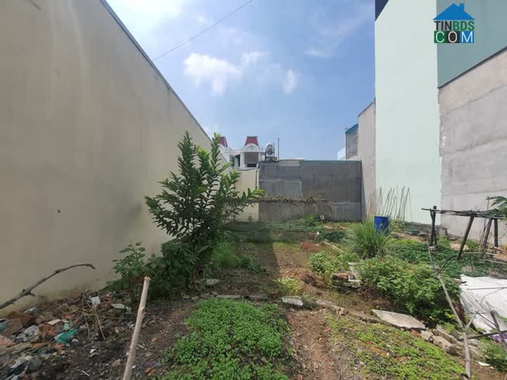 Ảnh Bán đất giá rẻ-Liên Khu 5-6-Bình Tân-118M2-HXH 8M-Chỉ 2 Tỷ 6 0