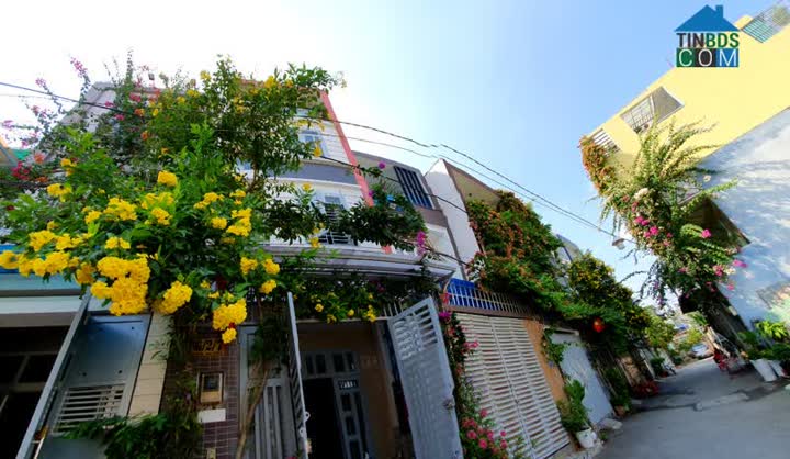 Ảnh Bán Nhà 1 Trệt 3 Lầu Hẻm 5m Sát Mặt Tiền Đường Hiệp Bình, Hiệp Bình Phước, Thành Phố Thủ Đức 0