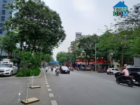 Ảnh Bán Tòa Nhà Mặt Phố Thái Hà 420m2, MT 13,6m Nhà Lô Góc, Vị Trí Đắc Địa Có 102 0