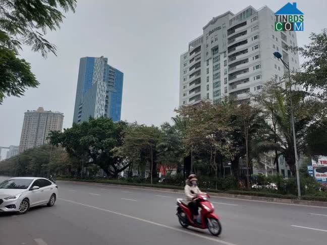 Ảnh Giá đình tôi cần bán Building Hoàng Quốc Việt DT 305m x 9T x MT 8.3m giá thoả thuận LH 0904230330 0